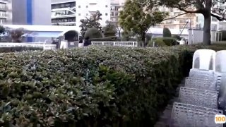 国产精品.性爱技巧日本免费一区香蕉视频,亚洲毛片免费一级,国产在线精品一区亚洲毛片免费一级,国产在线精品一区二区不卡麻豆